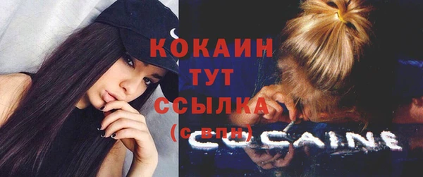 прущая мука Каменка