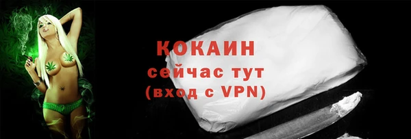 стаф Каменногорск