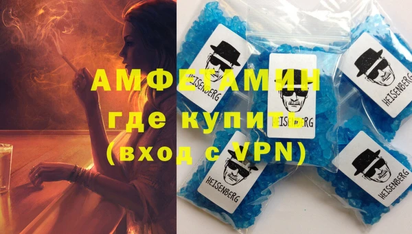 стаф Каменногорск