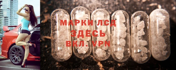 стаф Каменногорск