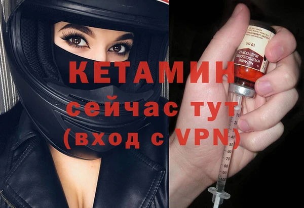 стаф Каменногорск