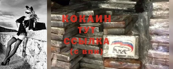 стаф Каменногорск