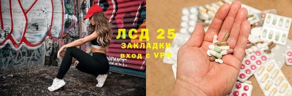 стаф Каменногорск
