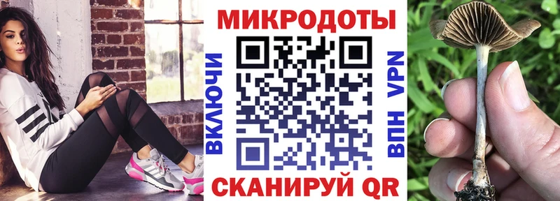 Псилоцибиновые грибы Psilocybine cubensis  Купить закладки  Лаишево 